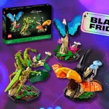 lego ideas the insect collection set against a purple patterned background