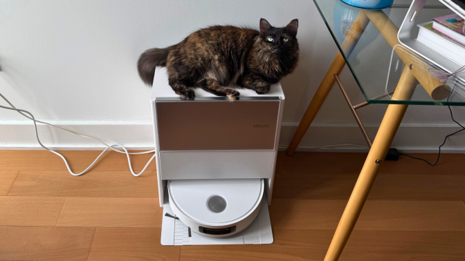 Cat sitting on top of Dreame Aqua10 Ultra Roller robot vacuum dock