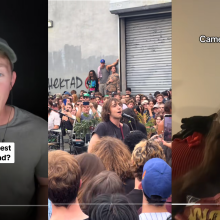 screenshots of tiktoks about geese or showing the band