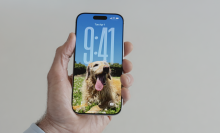 custom lock screen on iphone showing dog on screen