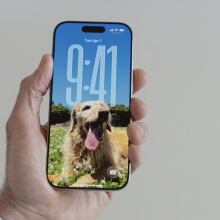 custom lock screen on iphone showing dog on screen
