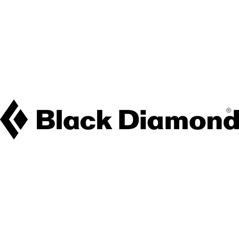 BD wordmark_black