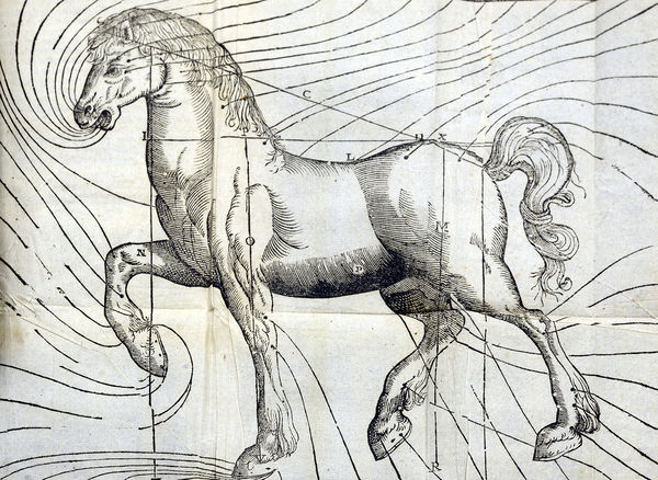 Markham’s Masterpiece