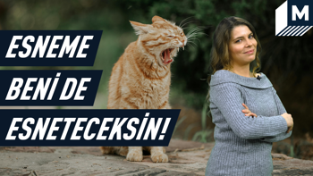 Esnemek neden bulaşıcı?