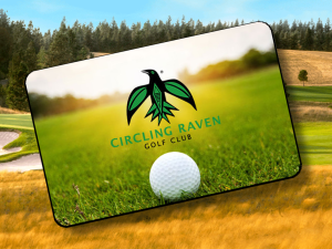 2025 RAVEN CARD CLINICS