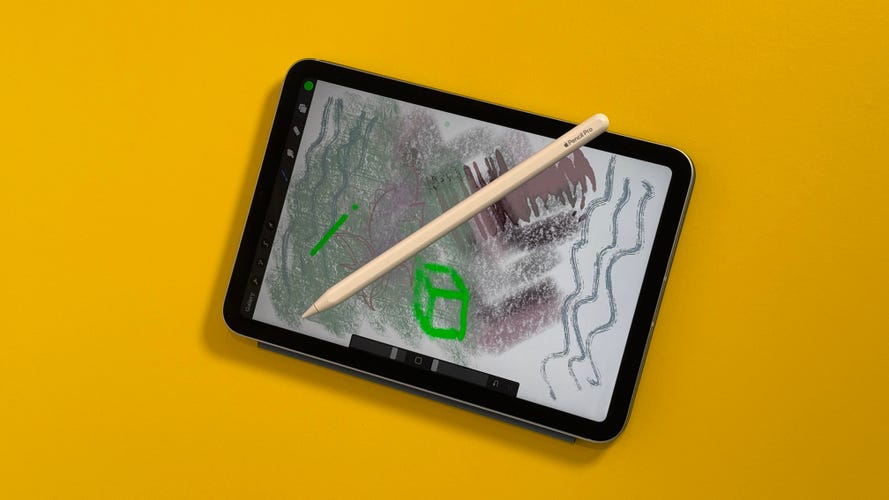 iPad Mini with art on the screen and a Pencil Pro stylus on top of it